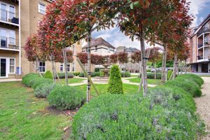 Communal Garden- click for photo gallery